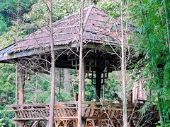 -鼎湖山风景区