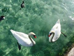 -青岛海泉湾度假区温泉