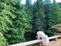 -云溪植物园