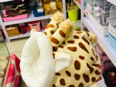 -钓仓鼠(洋桥北里小区店)
