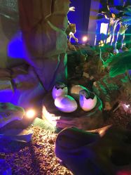 -恐龙探索乐园(磁器口店)