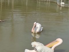 -宁波杭州湾国家湿地公园