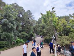 -昆明动物园