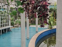 -上海鲜花港