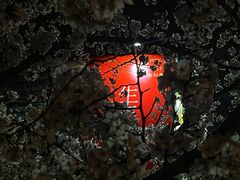 -龙美术馆(西岸馆)