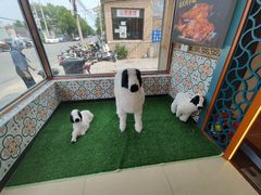 -兰州老马家美食(凤凰岭店)