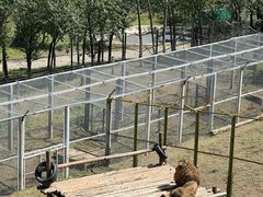 -青藏高原野生动物园