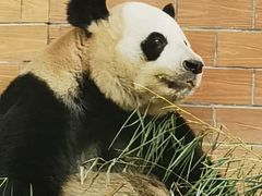 -苏州太湖国家湿地公园