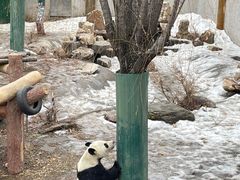 -沈阳森林动物园