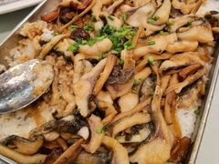 -老洋坊饭店(厚街东宝路店)