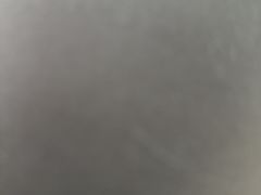 -唐小姐の私宠·宠物洗护美容·撸猫馆·购宠(周浦万达旗舰店)