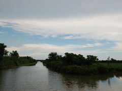 -大湾区中央湿地公园