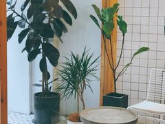 用餐区-COTTON CAFE(德信·中外公寓店)