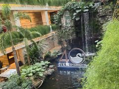 -白天鹅宾馆·月兔吧