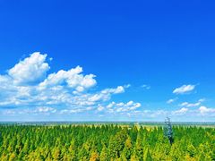 -黄海国家森林公园