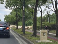 -上海崇明金茂凯悦酒店