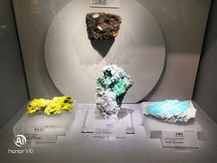 -湖南省地质博物馆