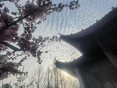 -堤角公园