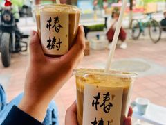 -椿树咖啡