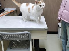 -开元商城(西旺店)