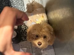-憨铁匠老火锅(龙岗万科里店)