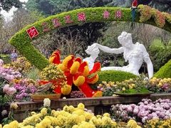 -南山植物园