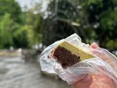 -蔺大妈松花糕