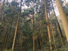 -东天目山风景区