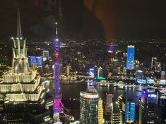 -The lounge 柏悦酒店大堂酒廊(上海环球金融中心店)
