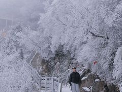 -洛阳白云山景区