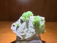 -青岛德国总督楼旧址博物馆