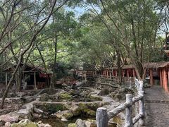 -天门沟九州驿站树上汤泉