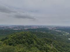 -天花井景区