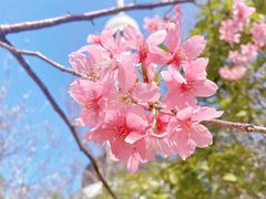 -龟山风景区-龟山电视塔