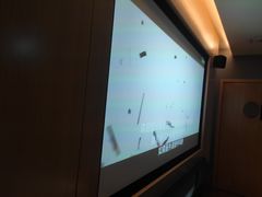 -金色印象·4K影院式足体养生(南坪桃源店)
