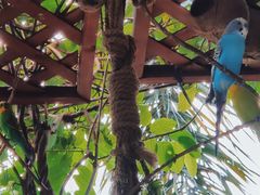 -蜈支洲岛珊瑚酒店临海阁中餐厅