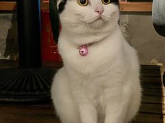 -么么咖啡(燕郊店)