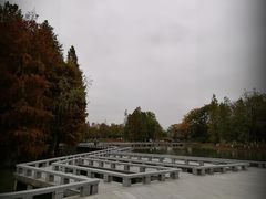 -白塘生态植物园