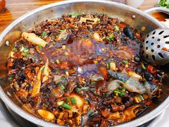 黑竹香鸡小份锅-黑竹香鸡(营和巷店)