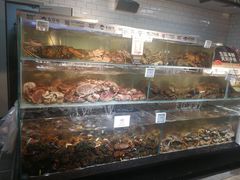 -超级物种(省府店)