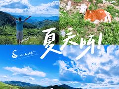 -灵山