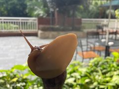 -麒麟中餐厅·经典粤菜·地道菜式老字号(广州长隆酒店)