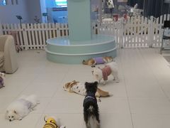 -怪兽屋·羊驼·猫咖·狗咖(俊华广场店)