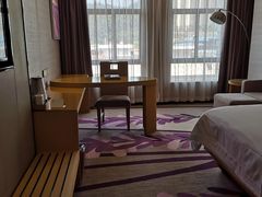 -麗枫酒店(广州科学城黄陂地铁站店)