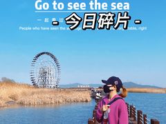 -太湖湖滨国家湿地公园-停车场