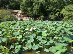 -韶山毛泽东同志故居