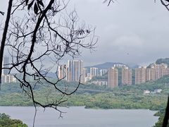 -深圳仙湖植物园