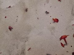 -蓝蔻酒店(深圳东站布吉万象汇店)