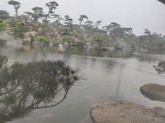 -罗红摄影艺术馆