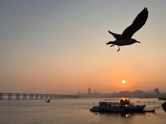 -星海广场